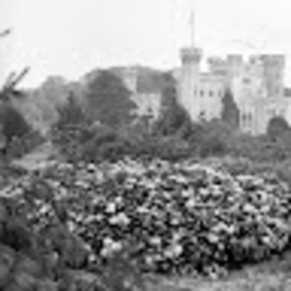 Meet your Posher, Zoë - Picture 1 of 1